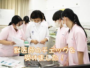 手術の準備をして実習！